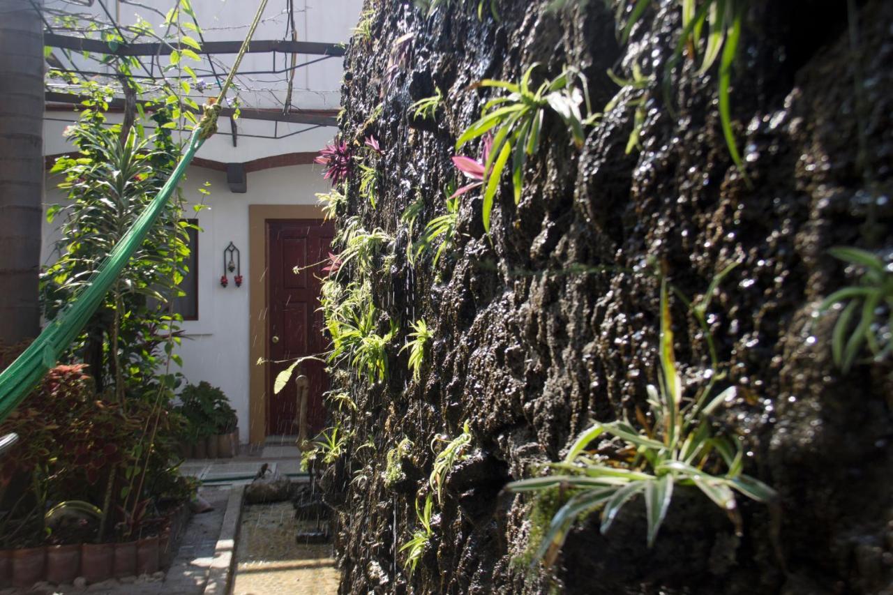 Las Mariposas Hotel & Studios Oaxaca Екстер'єр фото
