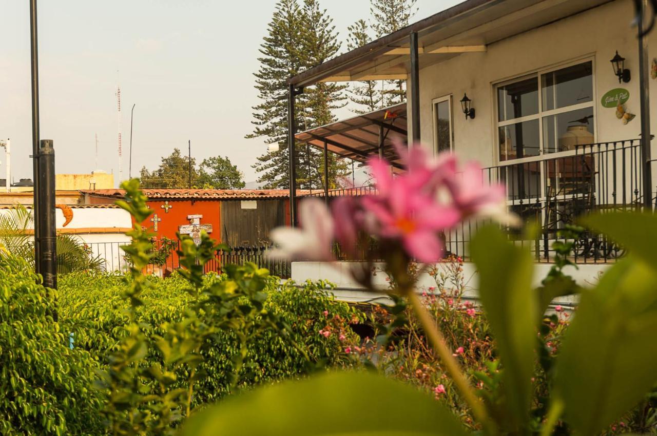 Las Mariposas Hotel & Studios Oaxaca Екстер'єр фото