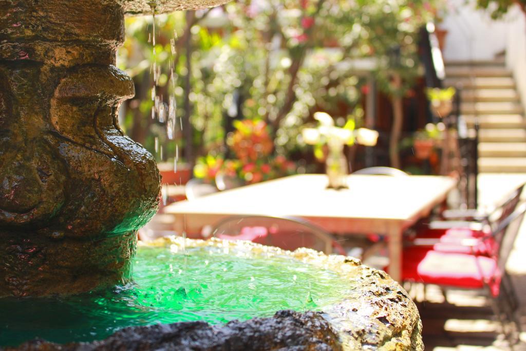 Las Mariposas Hotel & Studios Oaxaca Екстер'єр фото